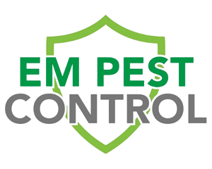 LOGO 26